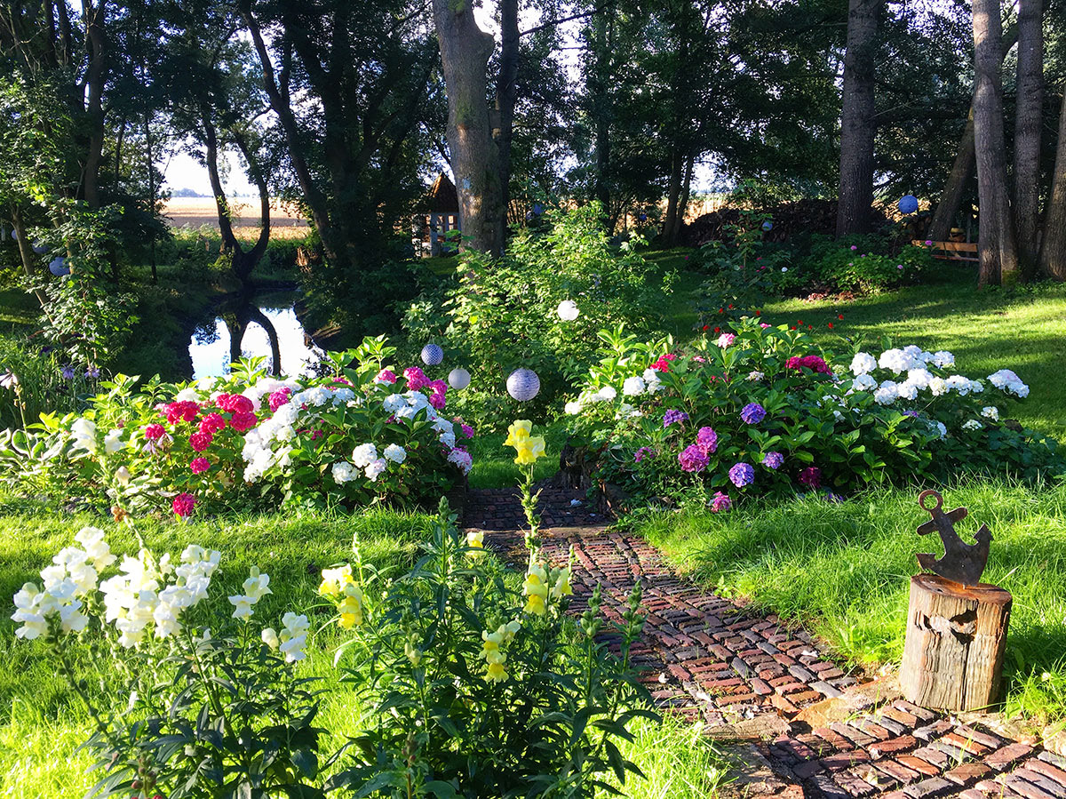 Die Hortensienblüte verwandelt den Garten in ein kleines Paradies.