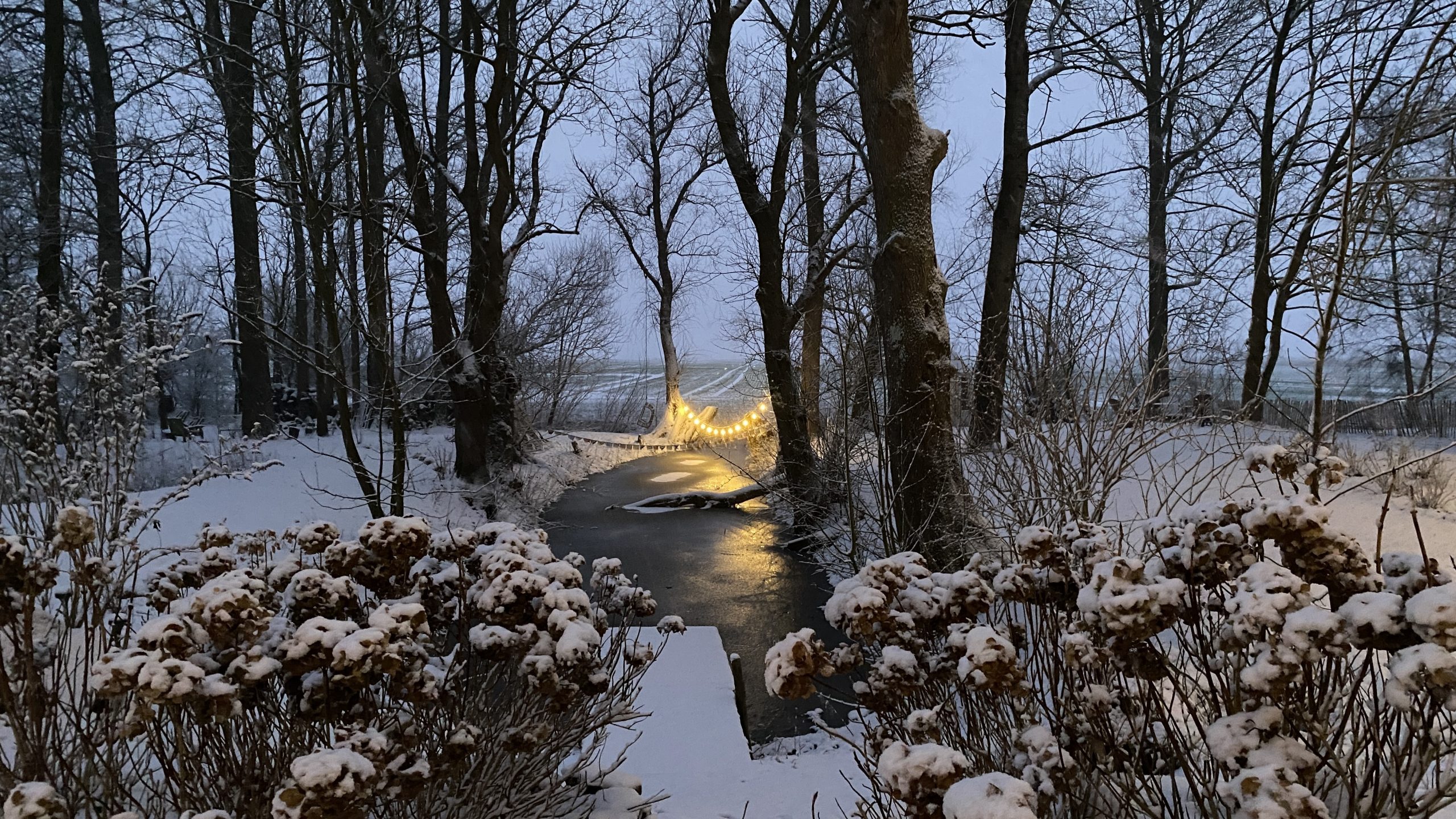 Zauberhafte mystische Winterstimmung im Garten von Warft Simmerdeis
