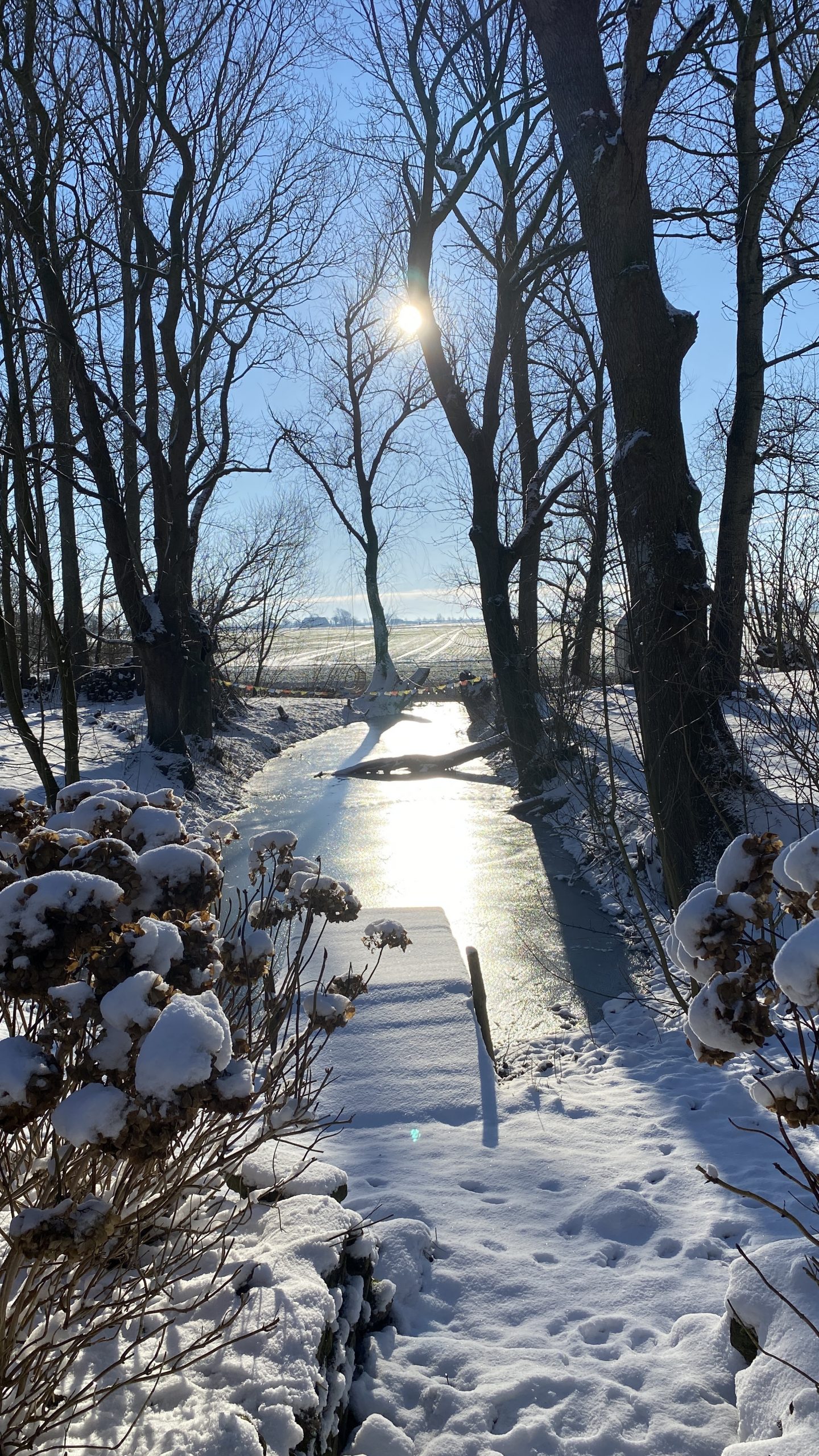 Winterwonderland mit Blick auf den gefrorenen Graft